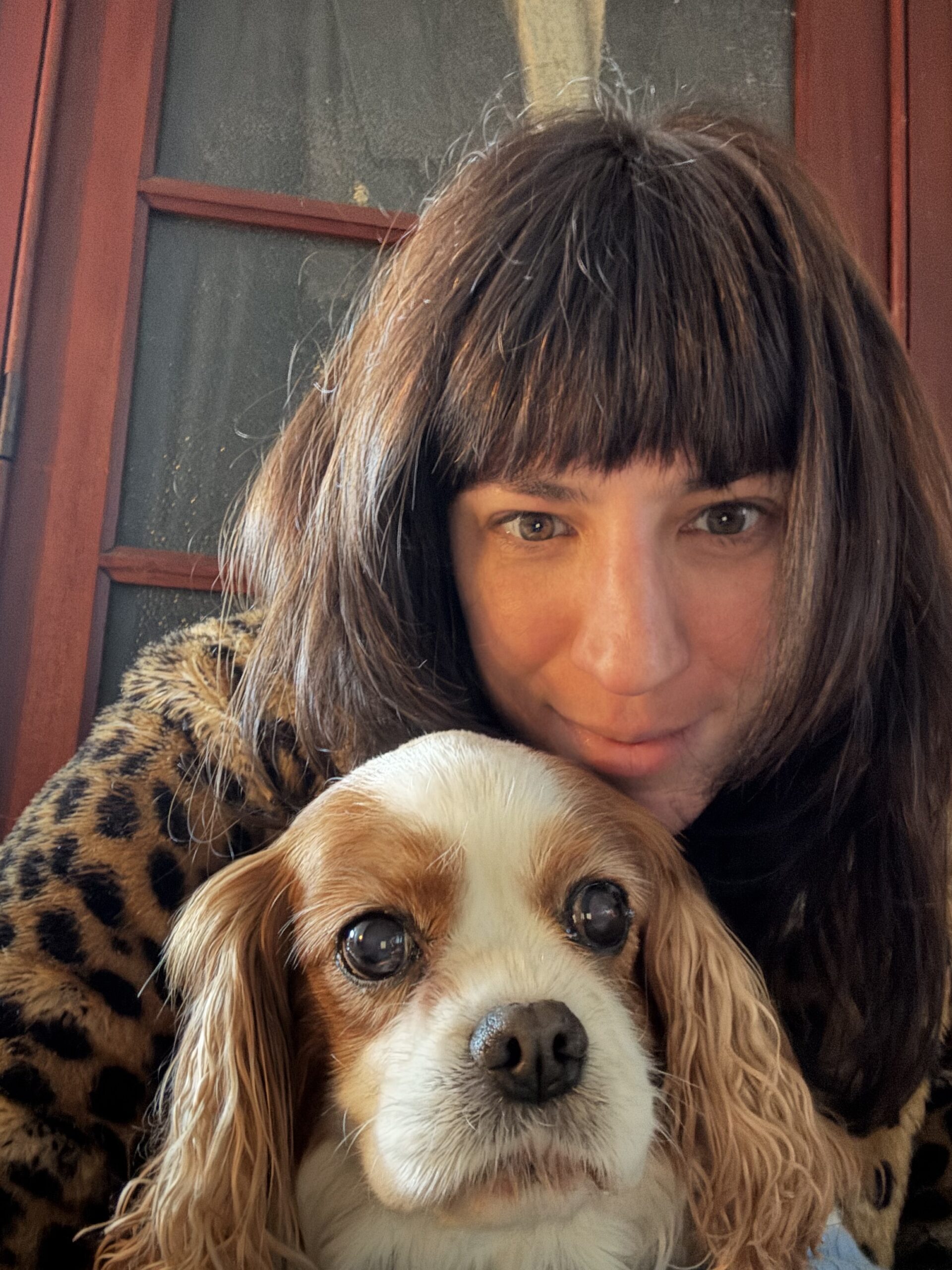 Fin d’année : un moment clé pour un accompagnement en kinésiologie et somatique énergétique