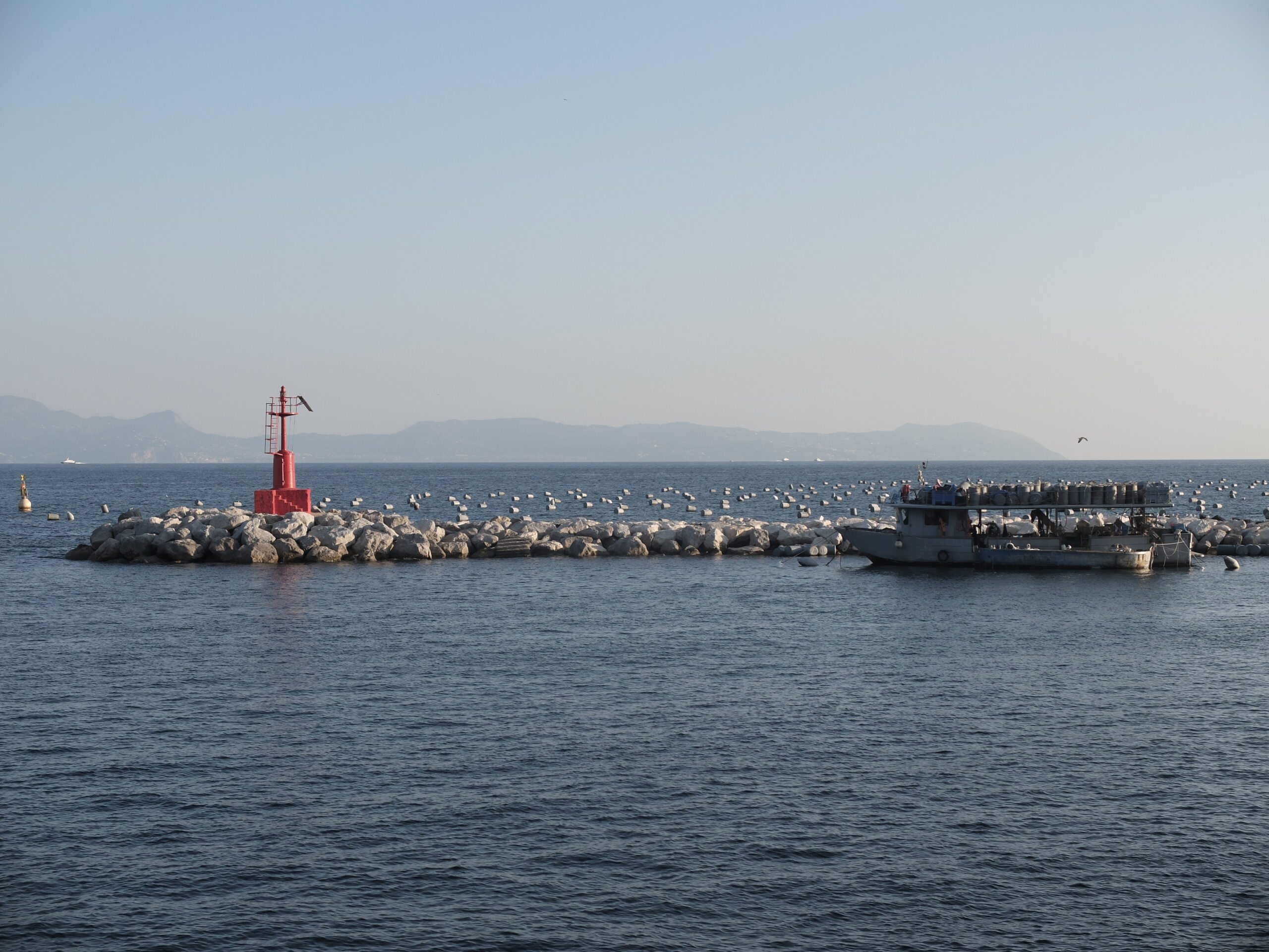 Troubles dys : comment la kinésiologie et la somatique énergétique peuvent t’aider à retrouver plus de fluidité au quotidien