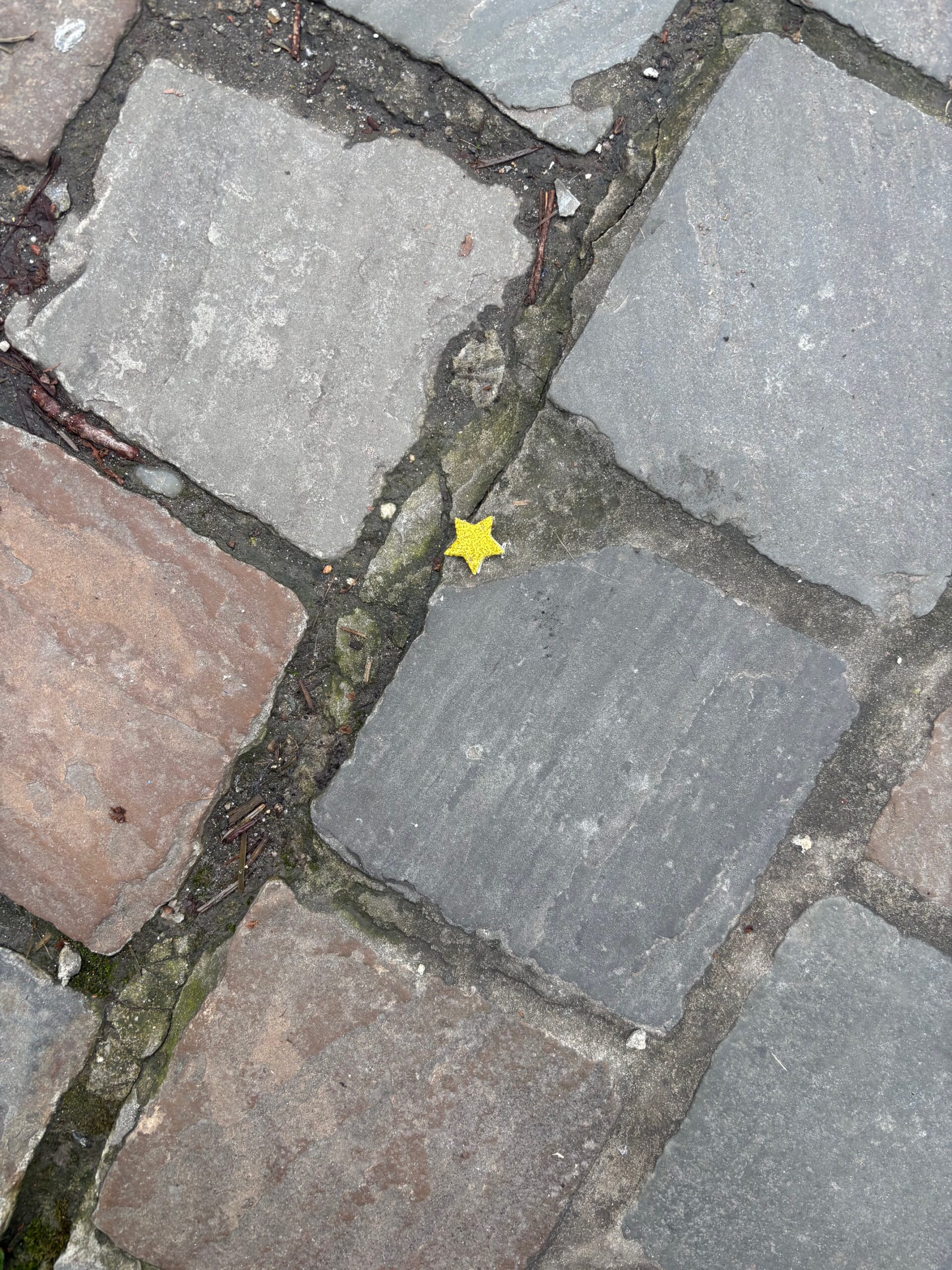 Effet rebond après une séance de kinésiologie ou de somatique énergétique : comprendre ce qui se passe