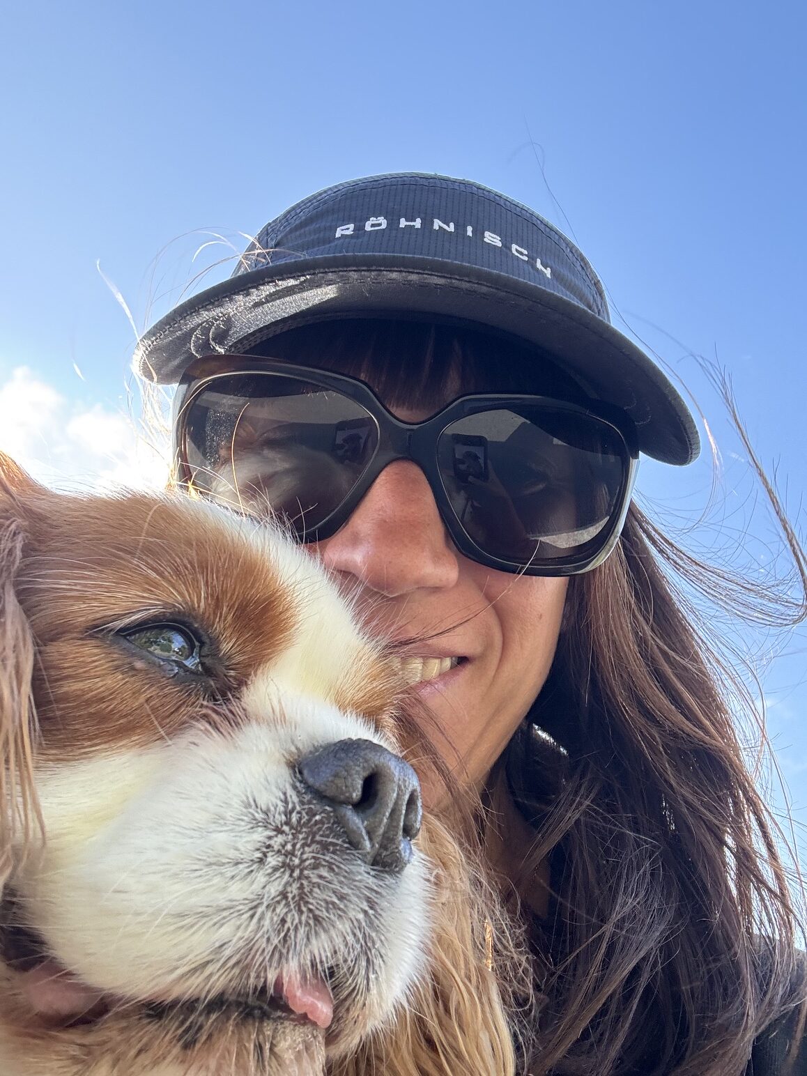 Mon chien ne m'écoute pas ? Et si le véritable enjeu était son système nerveux ?